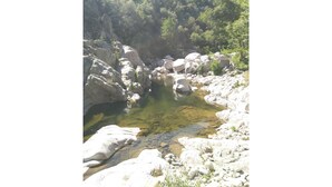 Paesaggio naturale roccioso con un ruscello dalle acque limpide, circondato da massi imponenti e una fitta foresta.