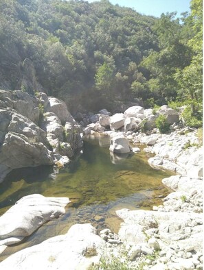 Un paisaje rocoso natural con un arroyo de agua clara rodeado de grandes rocas y un bosque denso.