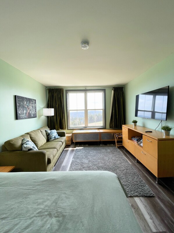 1 bedroom, desk, WiFi