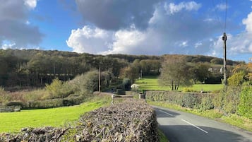 A rural road with a hedge on the left and a grassy field on the right.