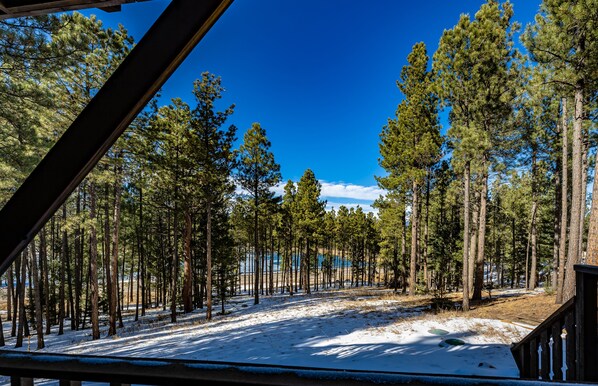 Property grounds - Ski Area 5 Min, Hot Tub, Wood Stove with Wood Incl, Gamerm, Dbl Garage,Fast Wifi (Angel Fire)