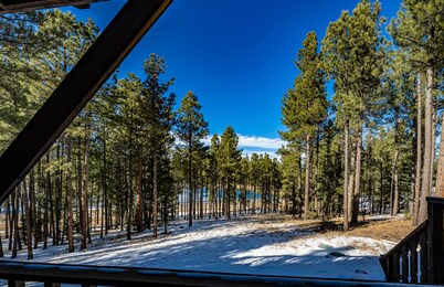 Ski Area 5 Min, Hot Tub, Wood Stove with Wood Incl, Gamerm, Dbl Garage,Fast Wifi