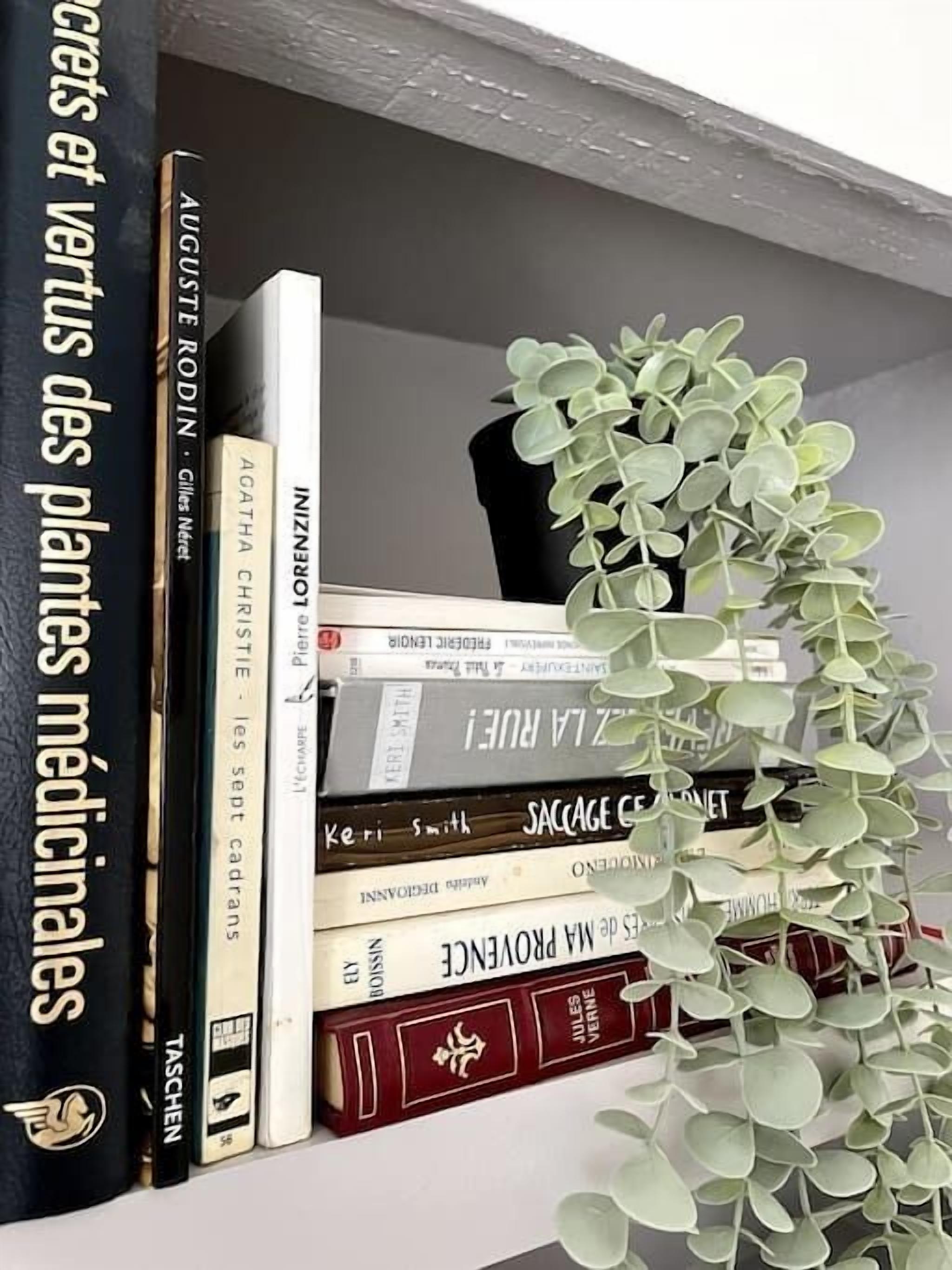 Een plank met verschillende boeken en een potplant.
