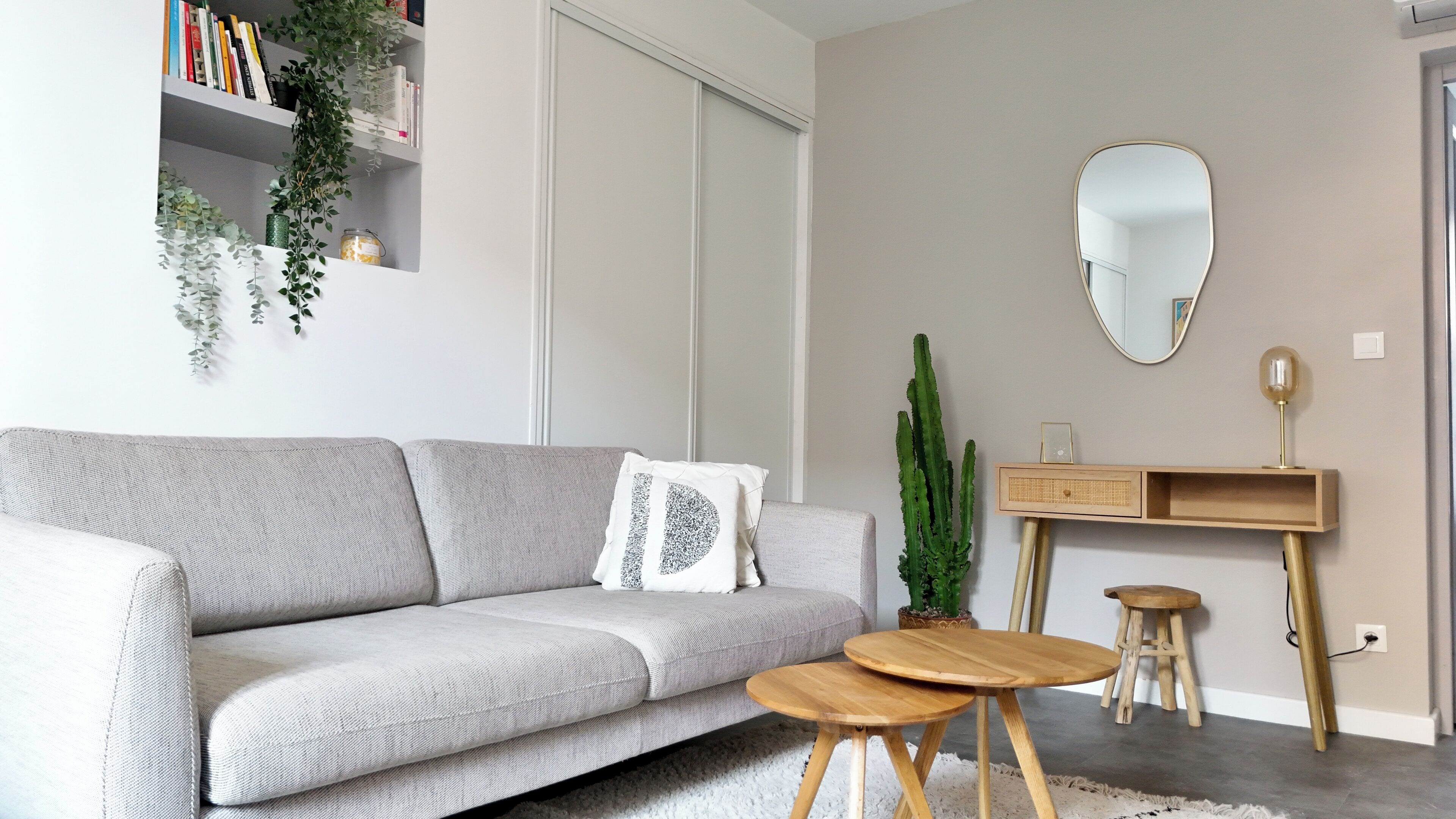 Un salon moderne avec un canapé gris, une table d’appoint en bois, un cactus, un miroir et une bibliothèque remplie de livres et de plantes.