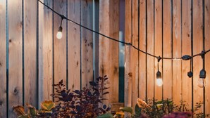 A wooden fence with string lights and various plants in a garden setting.
