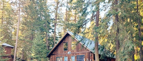 Une cabane entourée de grands arbres, dotée d’une véranda et d’une terrasse.