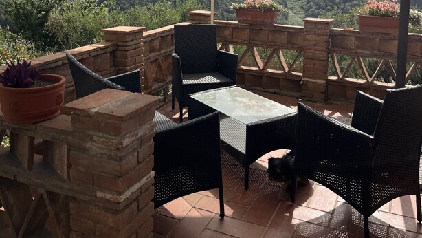 Eine Terrassengruppe im Freien mit Tisch, Stühlen und einem großen Sonnenschirm, mit Blick auf eine Hügelkuppe.