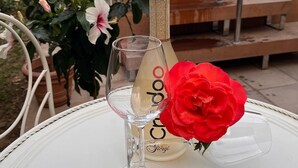 Eine Flasche Cristello Wein, ein Glas und eine rote Rose auf einem weißen Tisch im Freien.