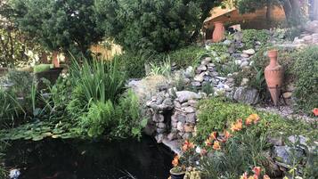 Terrein van de accommodatie