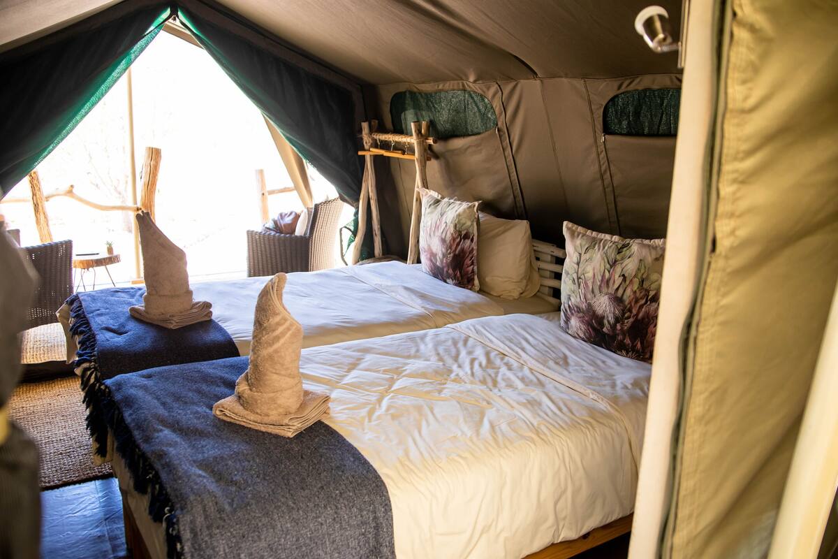A tented accommodation with two beds, a ladder, and a view of the outdoors.