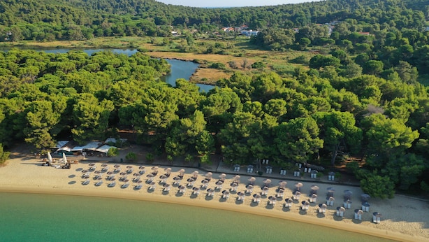 An aerial view of a beach with rows of umbrellas and sun loungers, surrounded by dense forest and a lake. - Koukounaries Beach Hotel (Skiathos)