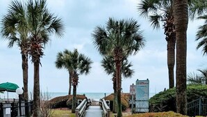 A pathway lined with palm trees leading to a beach. - Great Ocean Front Condo in Heart of Myrtle Bech (Myrtle Beach)