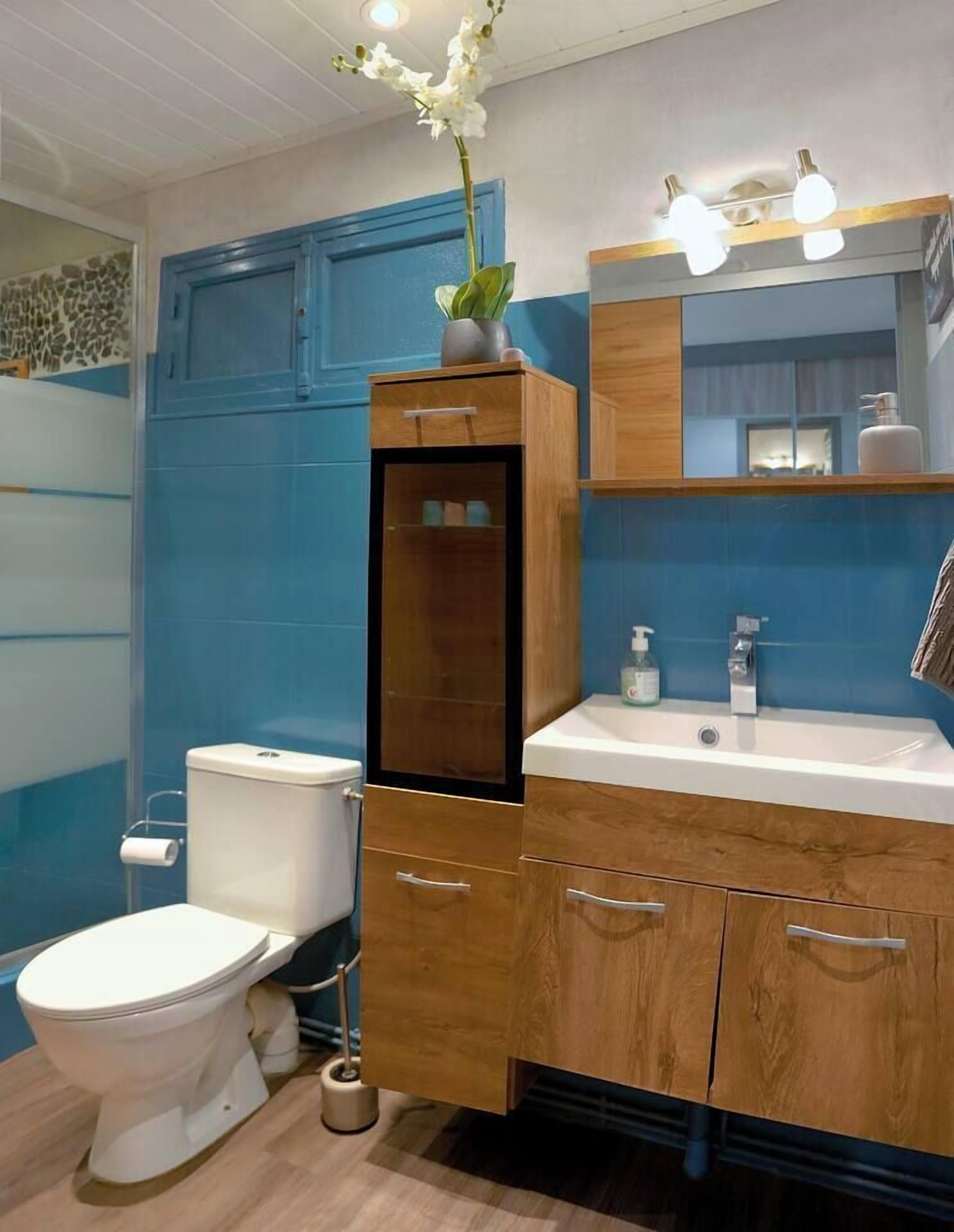 Shower, hair dryer, towels