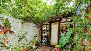 A garden pathway with stepping stones, surrounded by lush greenery and potted plants. - Cozy AF Tiny-House Oasis (Tampa)