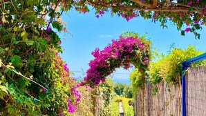 Un sentiero stretto, incorniciato da vegetazione rigogliosa e vivaci fiori di bouganville, che conduce a un recinto in legno e offre una vista libera sul mare.