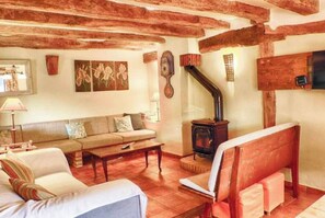 TV, fireplace, books, stereo - Rural house El Abejaruco (Campillo de Ranas)