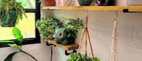 A small, enclosed space with a white brick wall, a wooden shelf with various potted plants, and a hanging macrame plant holder.
