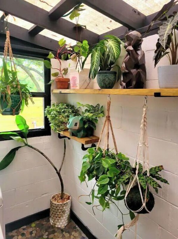 A small, enclosed space with a white brick wall, a wooden shelf with various potted plants, and a hanging macrame plant holder.