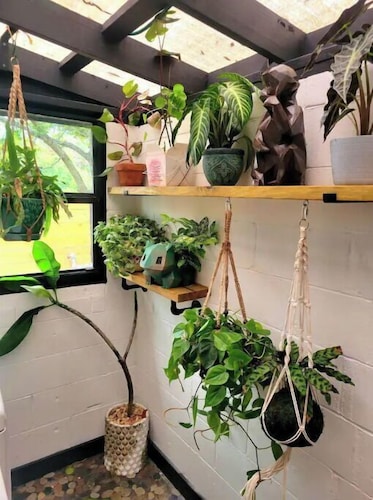 Cozy AF Jungle-House Hideaway