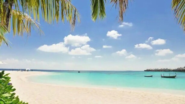 Une plage avec une eau turquoise et limpide, un rivage sablonneux et un bateau à l’horizon.