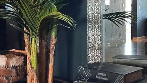 A modern interior with a large potted plant, a book titled 'Modern Architecture', and a textured wall. - A lavish hidden gem in the heart of Dubai marina. (Dubai)