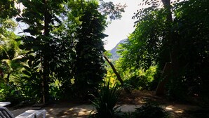 A garden with a pathway, a bench, and a mountain in the background. - Barra da Tijuca Guest Houses (Rio de Janeiro)