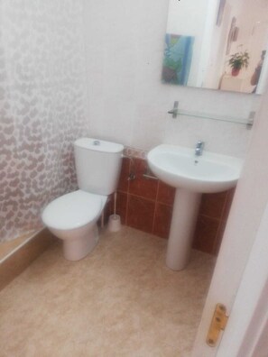 Combined shower/bathtub