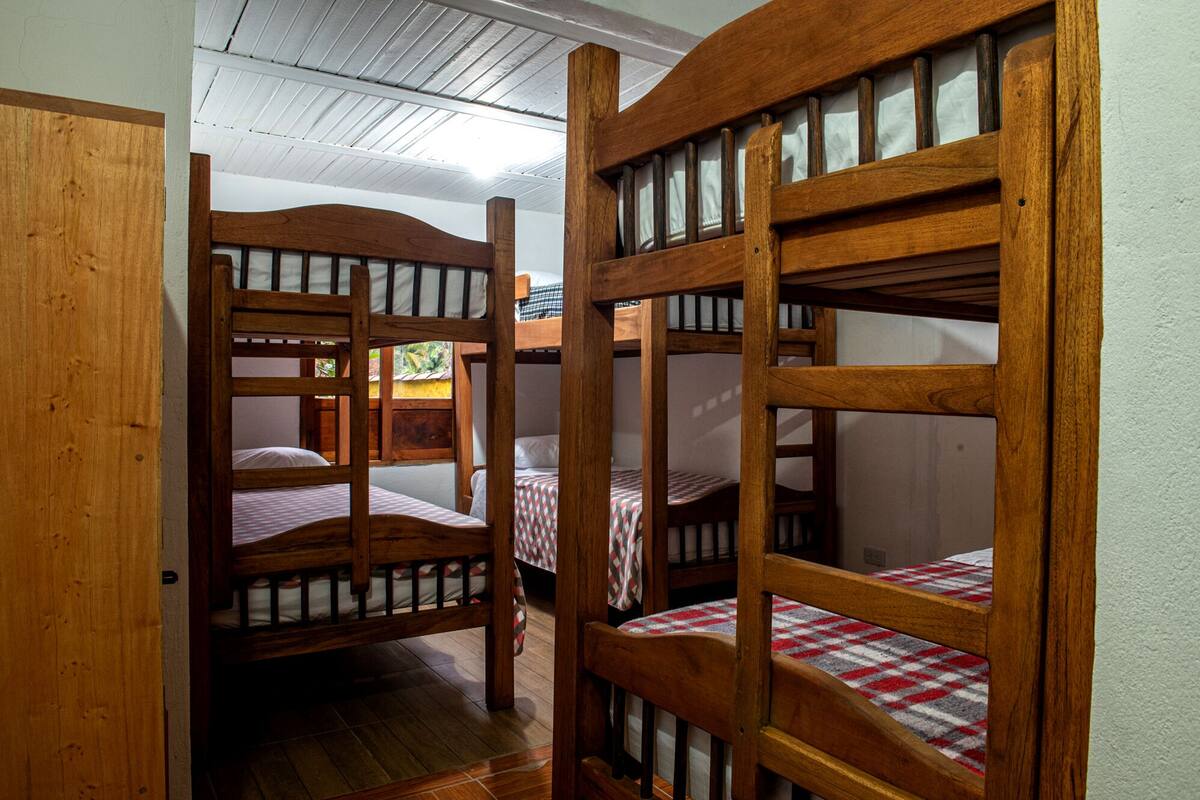 Superior Shared Dormitory