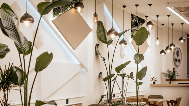 Un comedor moderno con varias mesas y sillas, iluminación colgante y grandes macetas.