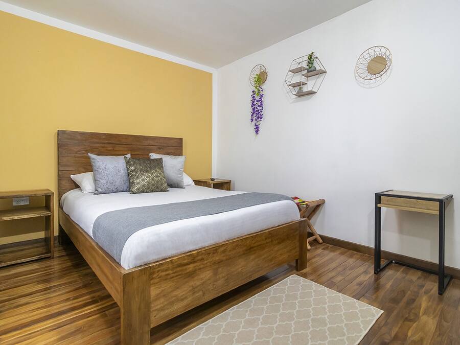 Ropa de cama de alta calidad, edredones de plumas, cortinas opacas