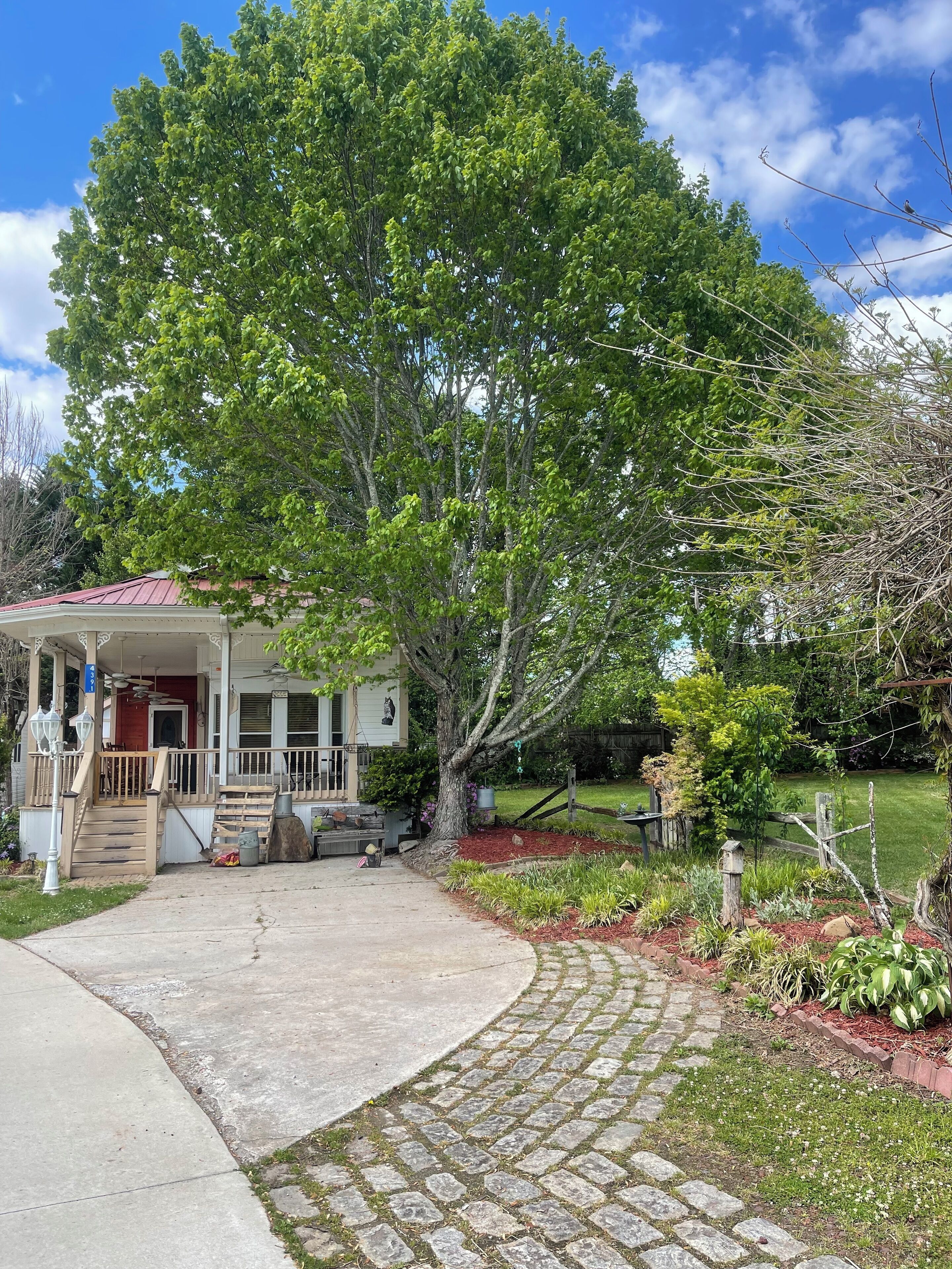 Cozy corner getaway in the mountains-Minutes away from Helen,GA/GA Mt Fairground