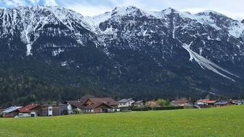 A rural landscape with a field of yellow flowers, houses, and snow-capped mountains in the background.