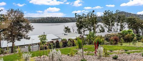 A residential area with a view of a lake, houses with sloped roofs, and a variety of vegetation including trees and shrubs.