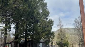 Una baita rustica con una veranda, circondata da alberi e con vista su una montagna.