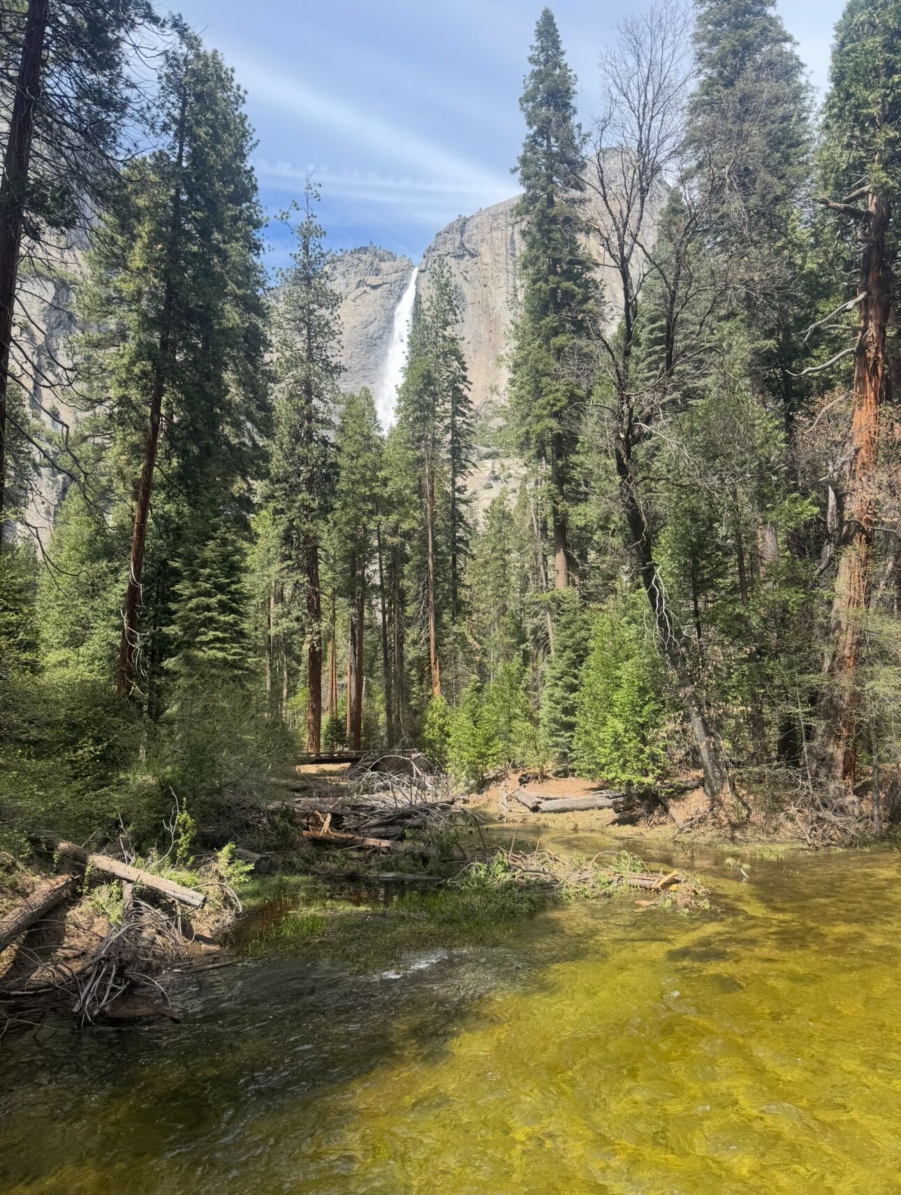 Une zone boisée avec une cascade et un ruisseau aux eaux claires.