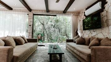 55-inch Smart TV with digital channels, TV, stereo