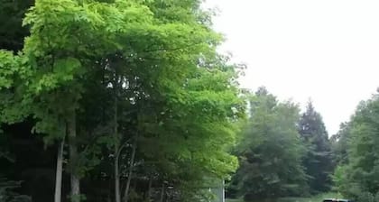 The Landing : Location Near All Of Munising's Best Attractions