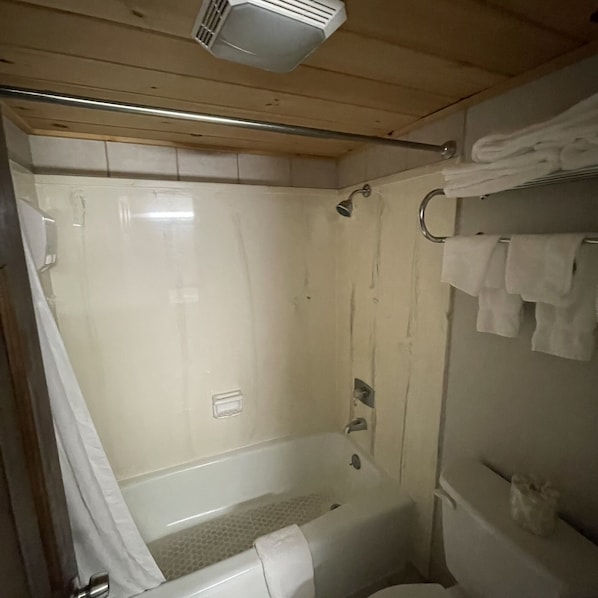 Badkar/dusch, hårtork och handdukar