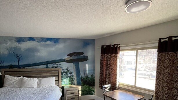 1 bedroom, iron/ironing board, WiFi, bed sheets - Really Spacious King Room (Gatlinburg)