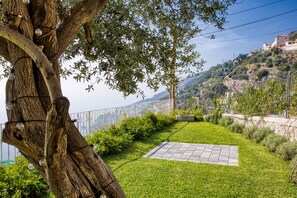 Property grounds - Olive house, luxury retreat (furore)