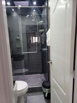 Combined shower/tub, hair dryer, towels, soap