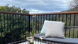 Een terras met een glazen tafel, een metalen stoel, een comfortabele bank met kussens en een fles wijn.