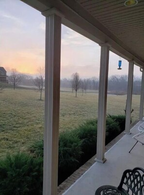 テラス / パティオ