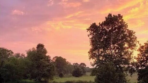 A backyard with a swimming pool, a wooden deck, and a large tree. - Beautiful farm stay apartment, rural Georgetown KY (Georgetown)