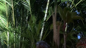A statue of a seated figure surrounded by potted plants and flowers, set against a backdrop of lush greenery. - Welcome to casa fall, a large family villa in the rainforest. Enjoyyyyy!!! (Fort-de-France)