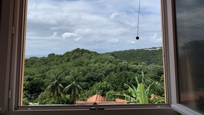 A window view of a lush green hillside with a clear sky. - Welcome to casa fall, a large family villa in the rainforest. Enjoyyyyy!!! (Fort-de-France)