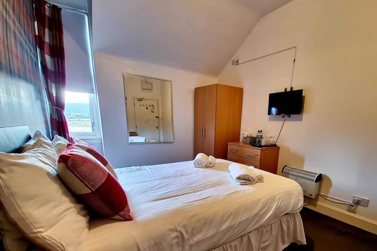A hotel room with a bed, a wardrobe, a mirror, a television, and a radiator.