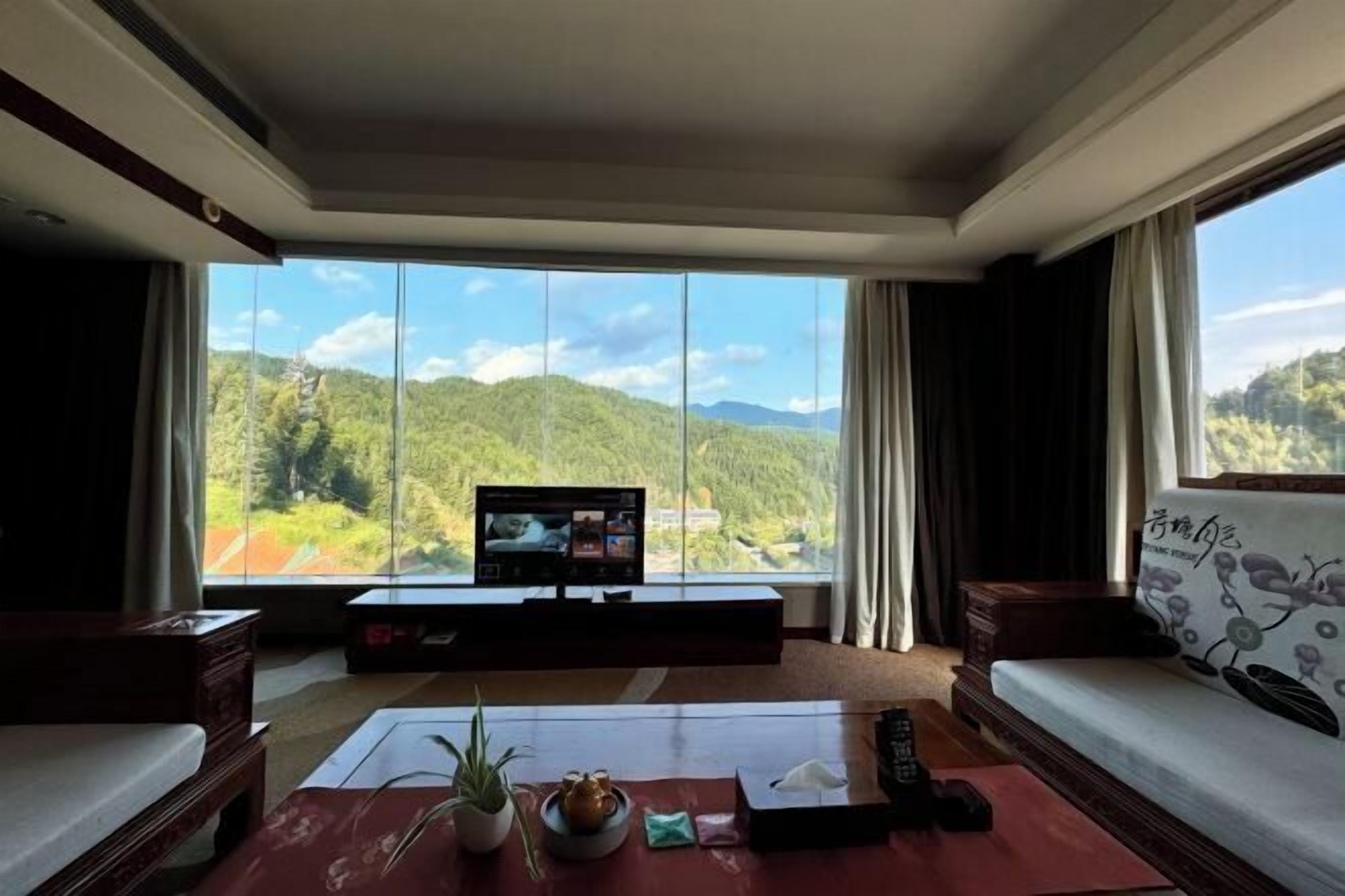 A room with a large window, a television, a sofa, a coffee table with a plant, and a remote control.