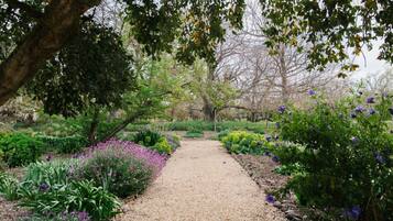 A gravel pathway in a garden with various plants and trees.