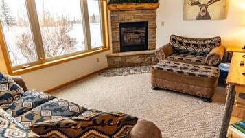 TV connectée, cheminée, lecteur de DVD, livres